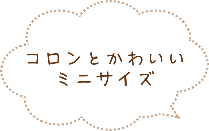 コロンとかわいいミニサイズ